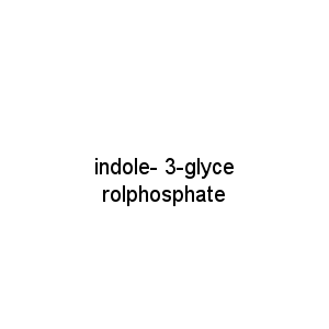 indole- 3-glycerolphosphate